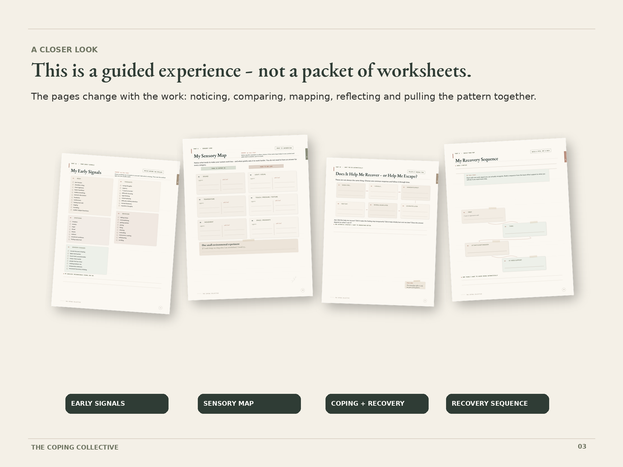 Preview pages from inside the guided nervous system workbook